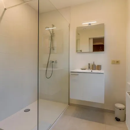 Des Roses - Fantastic & Renewed 7p 别墅 德哈恩