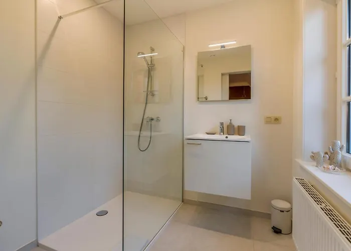 Des Roses - Fantastic & Renewed 7p Vila De Haan