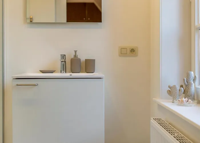 Des Roses - Fantastic & Renewed 7p Vila De Haan